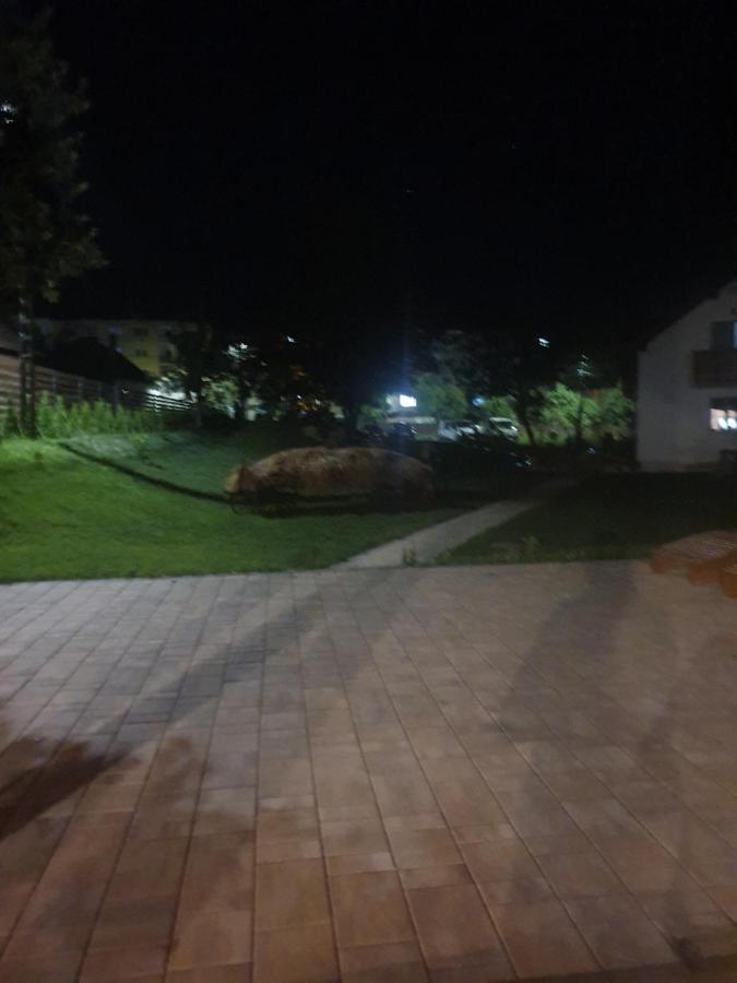 Pensiunea Transilvania Covasna Esterno foto